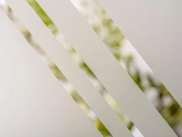 Acoustic Window Glazing