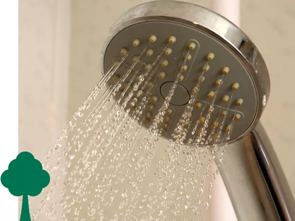 Shower head